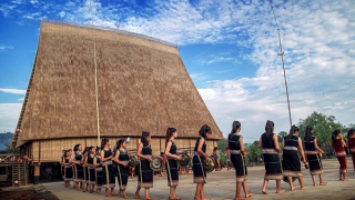 Hoa trên buôn làng