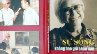 NSƯT Vũ Hà: Miệt mài và đam mê