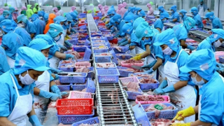 Xuất siêu nông, lâm, thủy sản tăng gần 2 lần so với cùng kỳ năm 2021