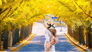 Vi vu xứ Hàn ngắm lá phong mùa thu với thẻ tín dụng VIB