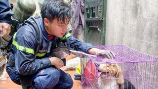 Những trái tim quả cảm sẽ còn đập mãi...