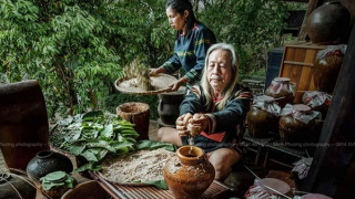 Mùa rừng Chư Yang Sin