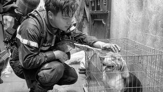 Dâng hiến tuổi thanh xuân vì bình yên cuộc sống