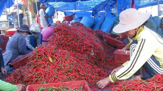 Những quy định nghiêm ngặt của thị trường xuất khẩu