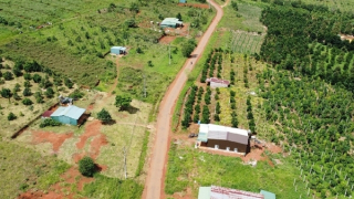 Sẽ tiến hành cưỡng chế các hộ dân lấn, chiếm đất tại Cụm công nghiệp - Tiểu thủ công nghiệp Quảng Tâm