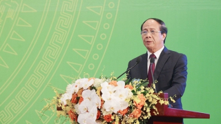 Không chuyển đổi đất quy hoạch cây xanh sang mục đích khác