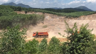 Công ty Lâm nghiệp nhiều lần để người dân lấn chiếm đất rừng trái phép