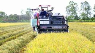 Để đất “Chín Rồng” vươn lên mạnh mẽ: Phát triển bền vững vùng ĐBSCL - Nhìn từ thực tiễn