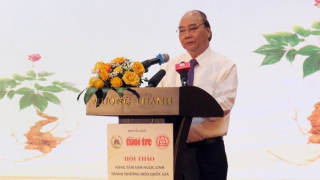 Nâng tầm sâm Ngọc Linh thành thương hiệu quốc gia