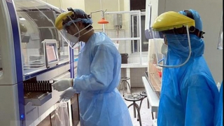 Ca mắc COVID-19 gia tăng, lo ngại về biến thể phụ mới