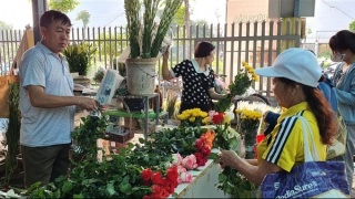 Giá cả "dịu mát", thị trường mâm cỗ sôi động trước Rằm tháng bảy