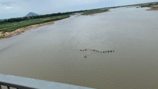 Tìm thấy thi thể nam thanh niên nhảy cầu tự tử