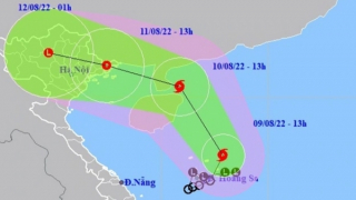 Các tỉnh ven biển từ Quảng Ninh đến Khánh Hòa sẵn sàng ứng phó bão số 2