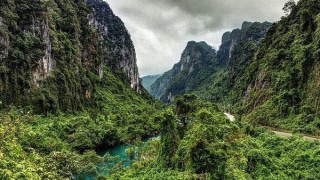 Đặt bẫy ảnh để xác minh thực hư hổ xuất hiện ở Phong Nha - Kẻ Bàng