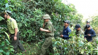 Phối hợp tuần tra ngăn chặn phá rừng vùng giáp ranh
