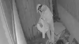 Thức giấc phát hiện có đối tượng đổ xăng phóng hỏa nhà mình