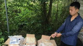 Phòng ngừa tội phạm lợi dụng bưu chính, vận tải để vận chuyển hàng lậu