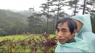 Bắt nhóm “lâm tặc” phá rừng quy mô lớn ở Đà Lạt