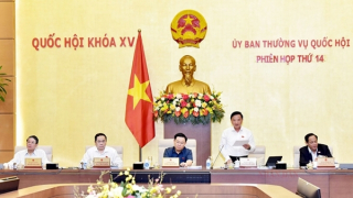 Sử dụng hiệu quả vốn Nhà nước đầu tư vào doanh nghiệp