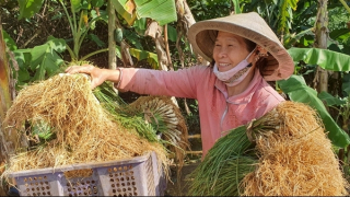 80 đơn vị tham gia Hội chợ Nông nghiệp năm 2022 tại Đà Nẵng