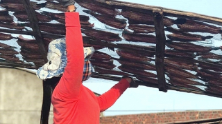 Sa Huỳnh mùa phơi cá