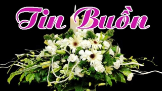 Tin buồn: Thượng tá Đỗ Thúy Dinh từ trần