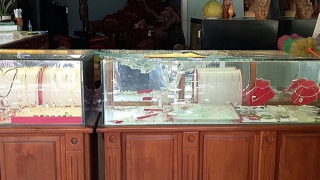 Giữa trưa, dùng cuốc cướp tiệm vàng