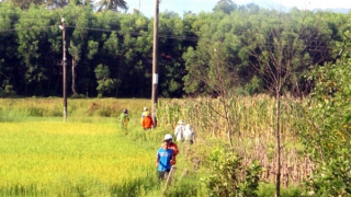 Phát hiện thi thể nam giới bên trụ điện giữa đồng