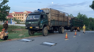 Quảng Ngãi: Kết quả xử lý xe quá tải thuộc top đầu  cả nước