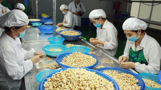 Hỗ trợ mạnh mẽ cho doanh nghiệp xuất khẩu