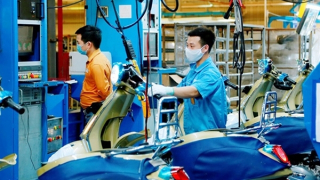 Nhiều nhà đầu tư nước ngoài ưu tiên triển khai dự án tại Việt Nam