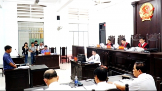 Bác kháng cáo nguyên Giám đốc Sở TN&MT Khánh Hòa