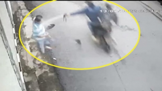 Kẻ trộm chó dùng súng xung điện và bình xịt hơi cay tấn công chủ nhà