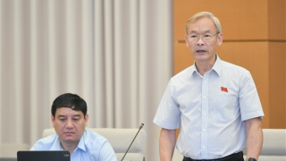 Xử lý nghiêm người có hành vi bạo lực gia đình