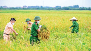 Muôn việc phải vì dân