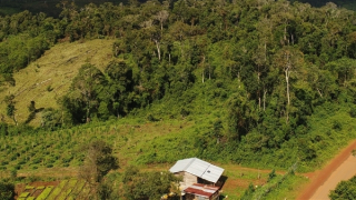 Đề nghị khởi tố nguyên phó chủ tịch huyện cắt đất rừng cấp cho... vợ