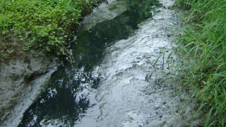 Gây ô nhiễm môi trường bị phạt 165 triệu đồng