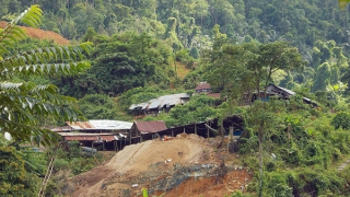 Quảng Nam yêu cầu 2 doanh nghiệp khai thác vàng tạm dừng hoạt động