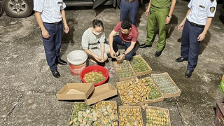 Cẩn trọng với bánh không rõ xuất xứ