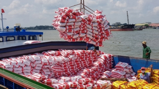 Khai thác thế mạnh đường thủy vùng châu thổ Cửu Long