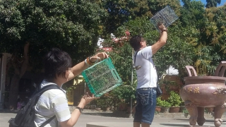 Để hoạt động phóng sinh thật sự có ý nghĩa