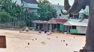 Gặp ân nhân của hàng chục người bơi qua sông biên giới trốn khỏi casino