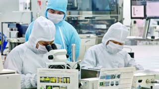 Việt Nam xuất siêu 21,42 tỷ USD sang châu Âu