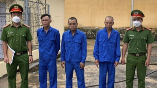 Triệt phá các nhóm chuyên trộm cắp tài sản lấy tiền sử dụng ma túy