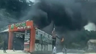 Cháy lớn tại điểm du lịch Nông trại cún Puppy Farm