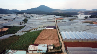 Hệ lụy từ dự án dân cư “treo” lớn nhất Đà Lạt