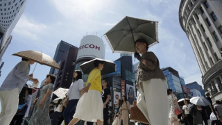 Khi nắng nóng bất thường thành… thông thường