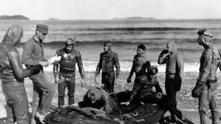 Hồ sơ về các đội rà phá dưới nước của Hải quân SEAL trong Thế chiến II