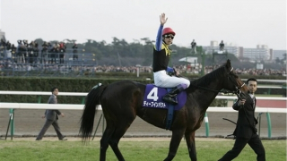 Mafia và mặt tối của đua ngựa