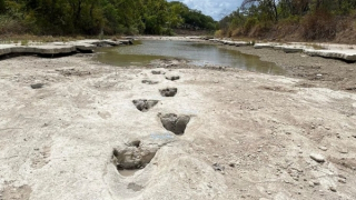 Hạn hán khiến dấu chân khủng long 113 triệu năm lộ diện